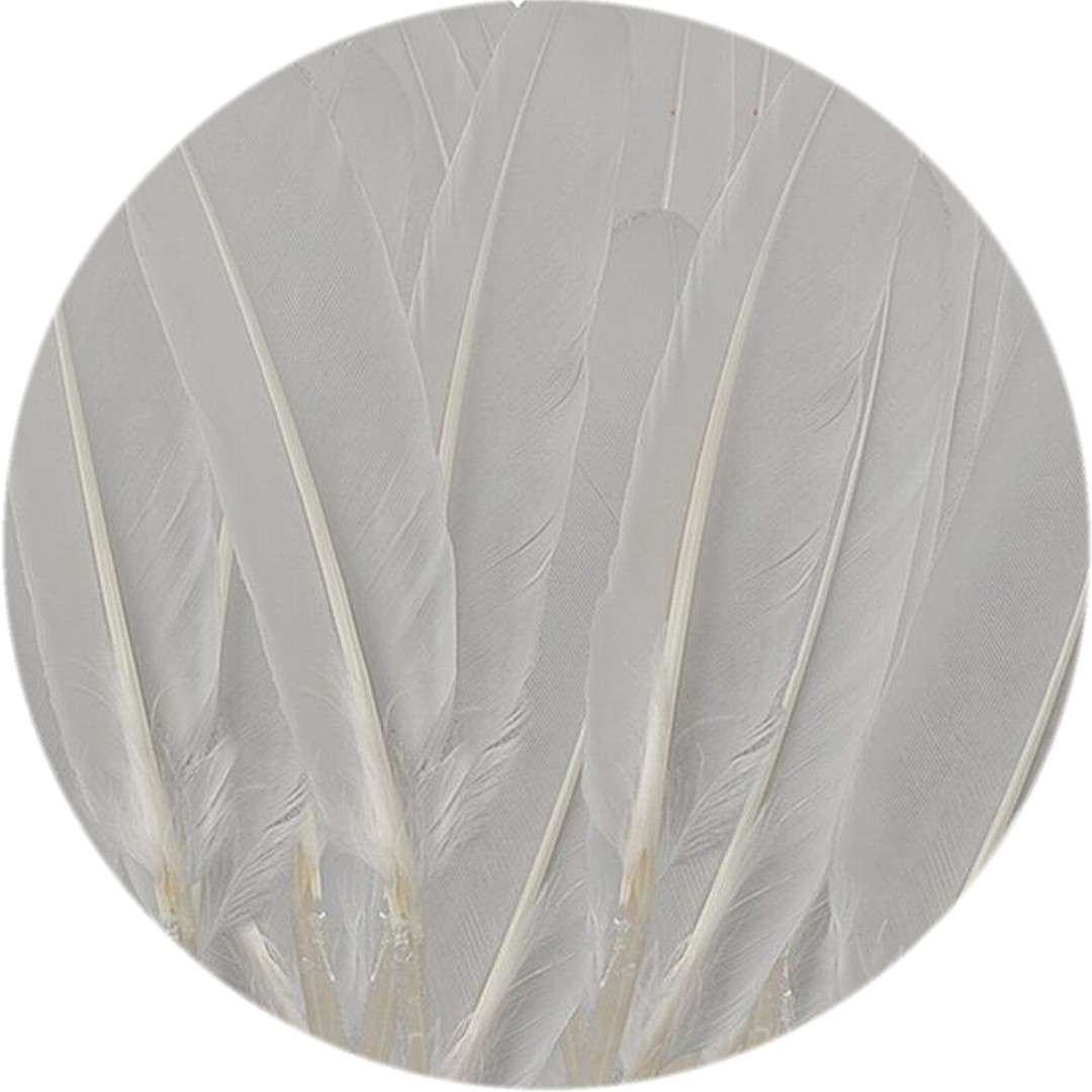 Piórka dekoracyjne "Lotki", białe, Titanum, 50 szt