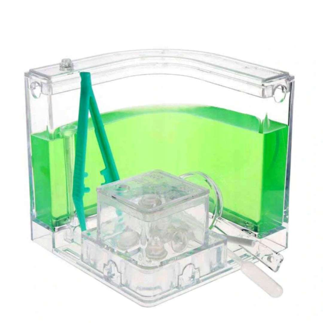 Akwarium do mrówek LED Deluxe zielone GadgetMaster - ZIELONE