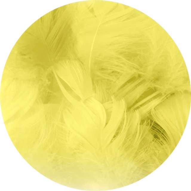 Piórka dekoracyjne "Długie", żółte, PartyPal, 10-15 cm, 50 szt