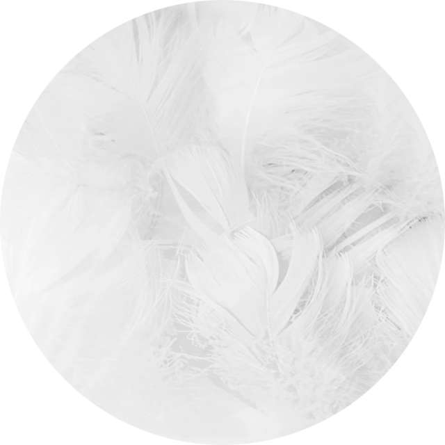 Piórka dekoracyjne "Krótkie", białe, PartyPal, 5-8 cm, 50 szt
