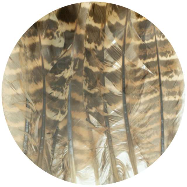 Piórka dekoracyjne "Cętki", szaro-brązowe, Aliga, 10-15 cm, 8 szt