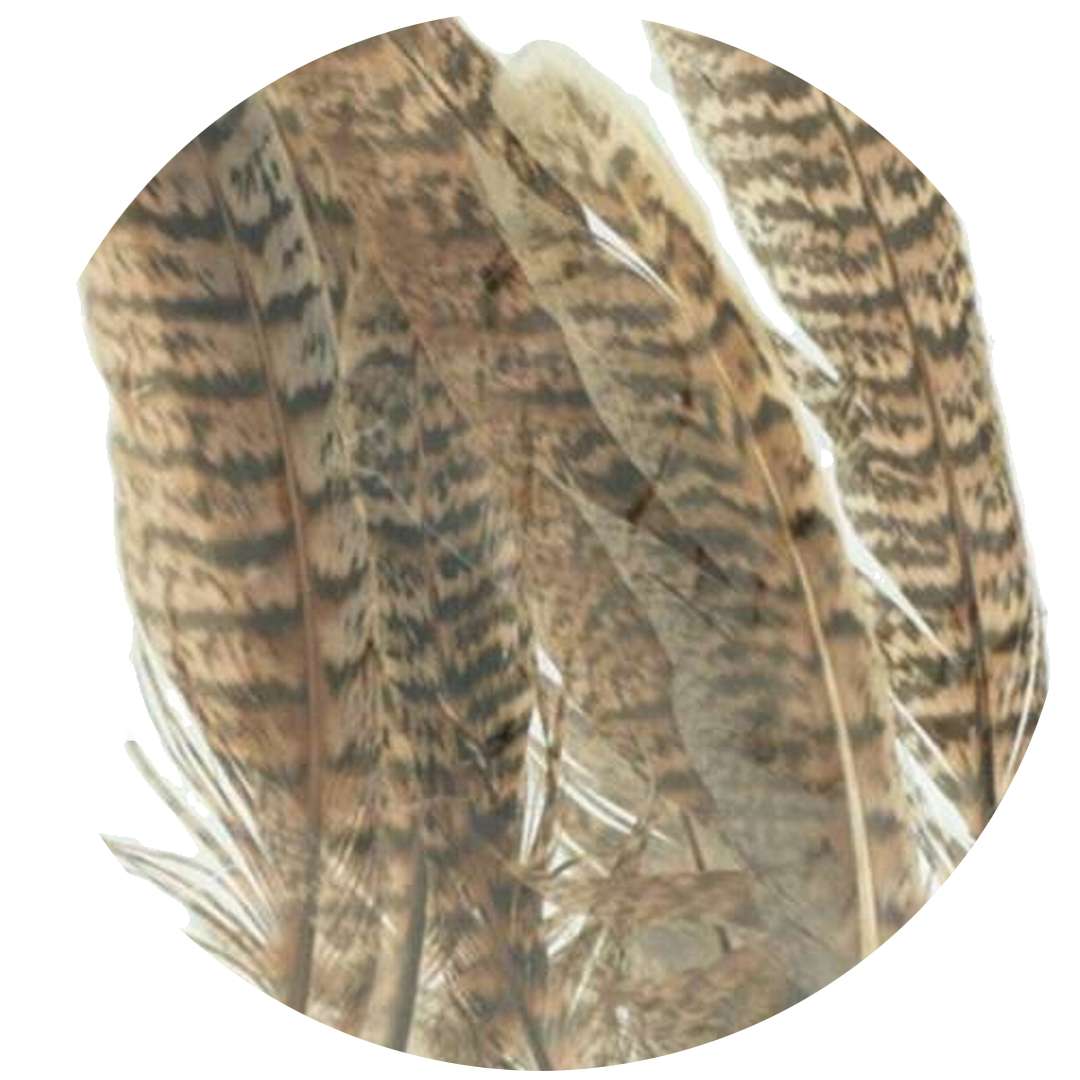 Piórka dekoracyjne "Panterka", szaro-brązowe, Aliga, 10-15 cm, 8 szt