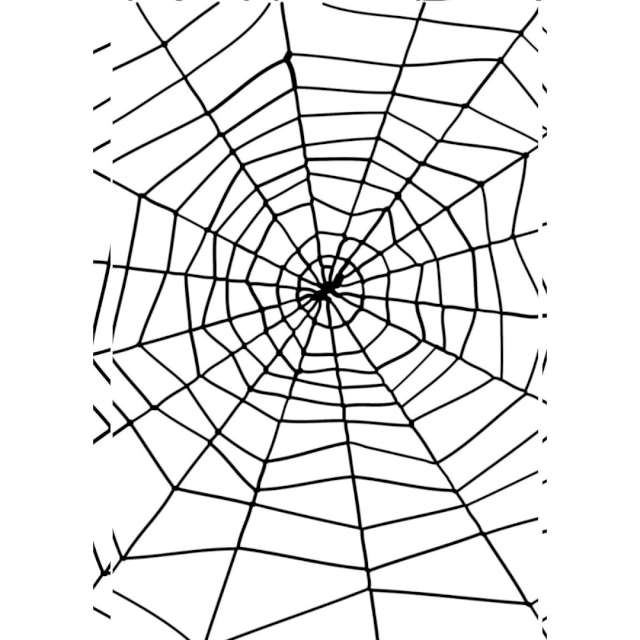 _xx_Spider & Spiders Web Black