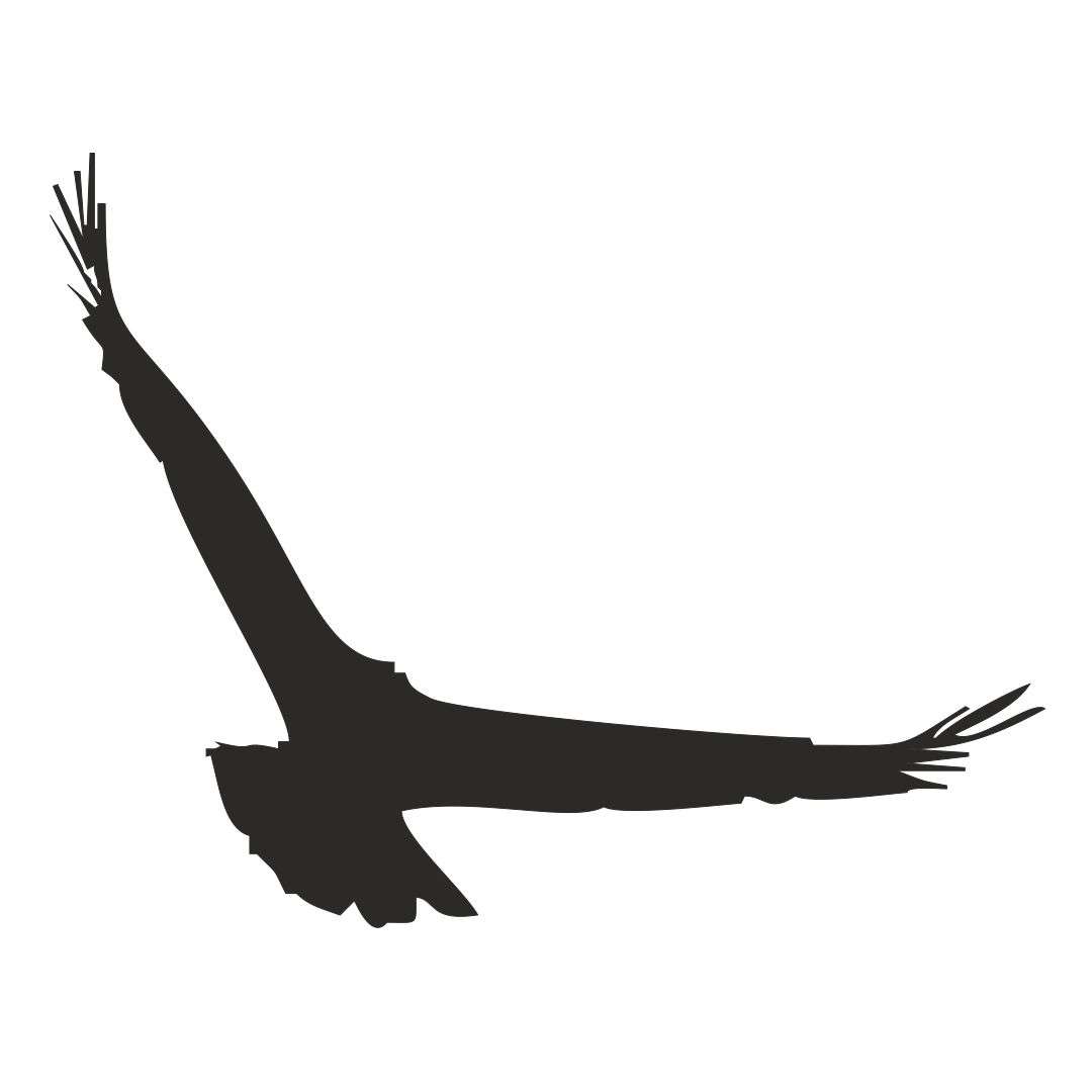 Naklejka na okno "Ptak PTM-07", czarny, 20 cm