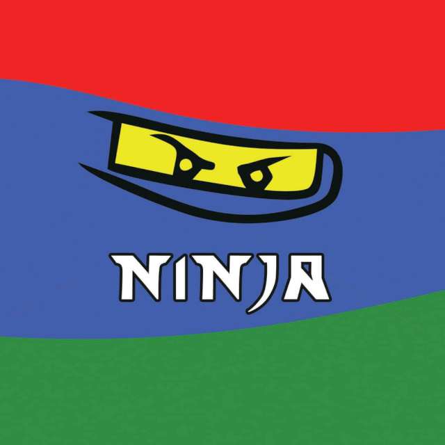 Serwetki "Ninja", Congee, 33 cm, 20 szt