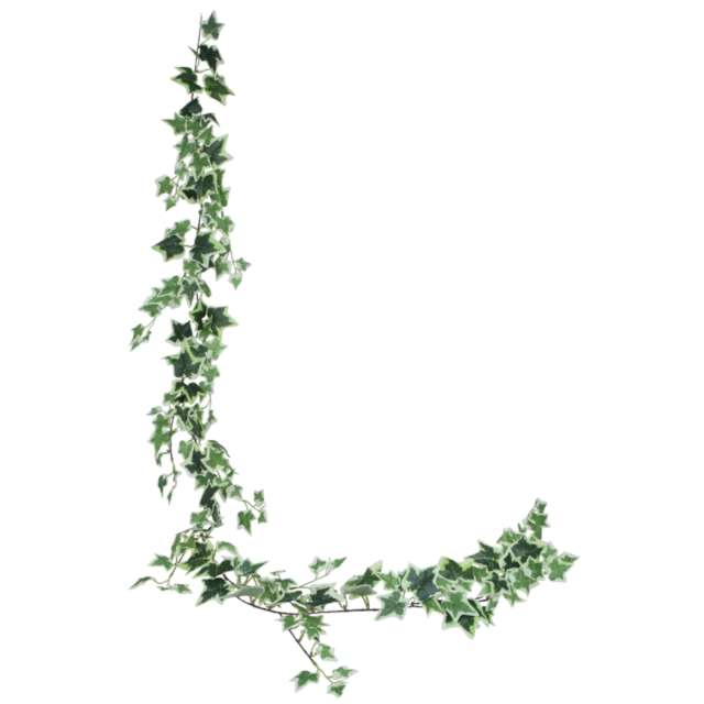 Sztuczny kwiat Girlanda - Bluszcz Hibernica BOMM 180 cm