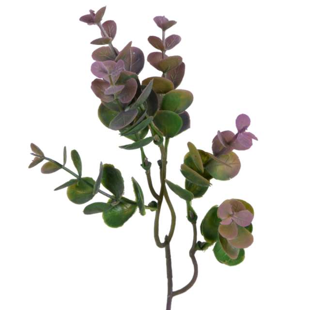 Sztuczny kwiat Zwis - Eukaliptus BOMM 37 cm