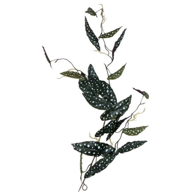 Sztuczny kwiat Pnącze - Begonia Maculata BOMM 105 cm