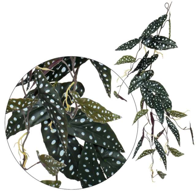Sztuczny kwiat "Pnącze - Begonia Maculata", BOMM, 105 cm