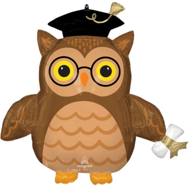 _xx_SuperShpae Graduate Wise Owl P35 Packaged 76 cm x 73 cm