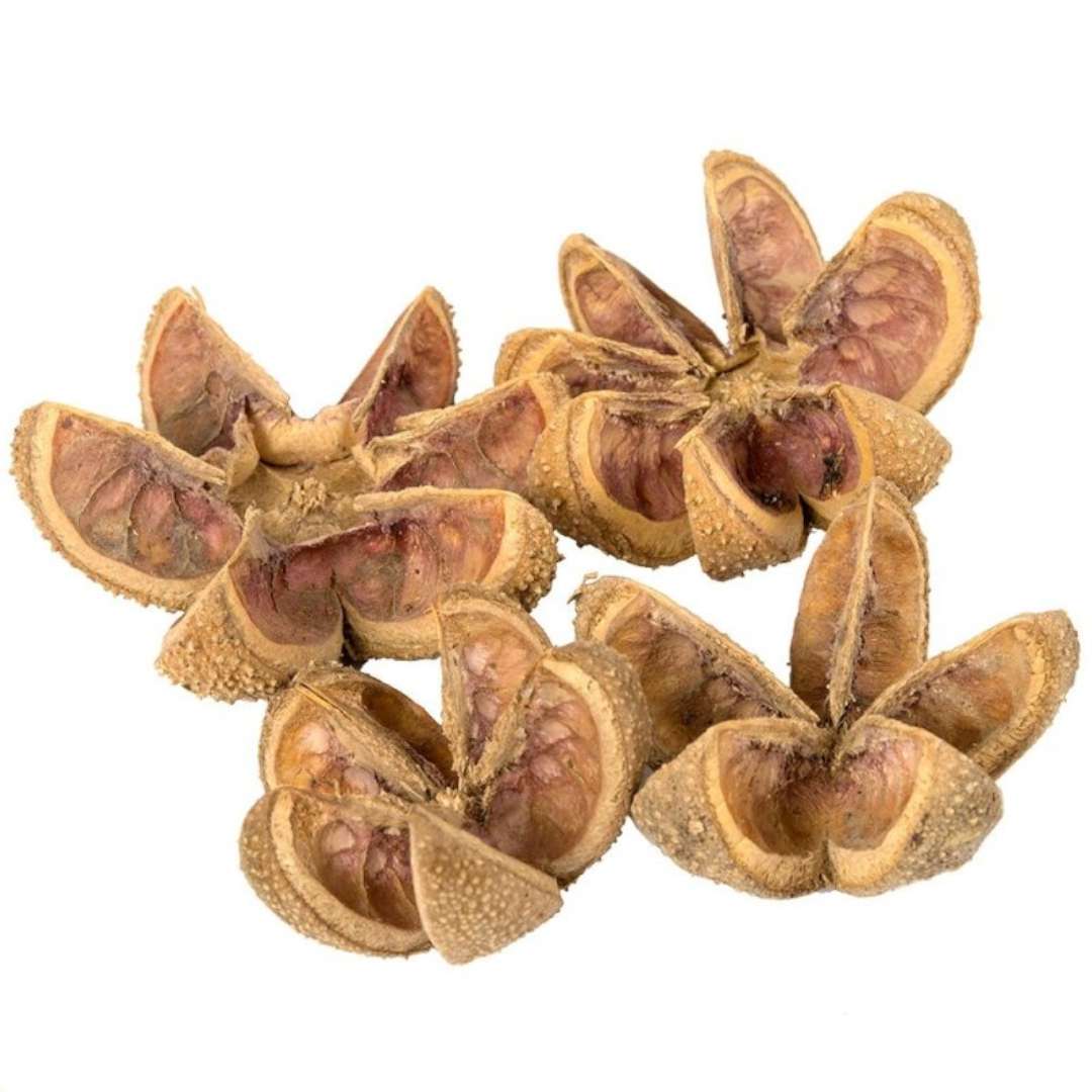 Susz dekoracyjny Kartush Kwiatki - Naturalne Czakos 4 szt