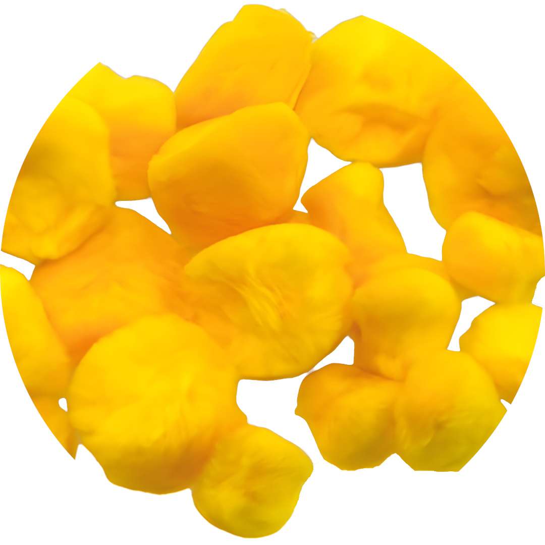 Pompony pluszowe Akrylowe żółty Brewis 253540 mm 24 szt