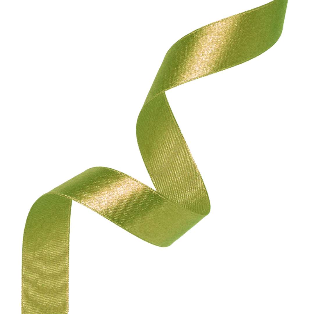 Tasiemka satynowa Classic zielony oliwkowy PartyPal 12 mm 23 m