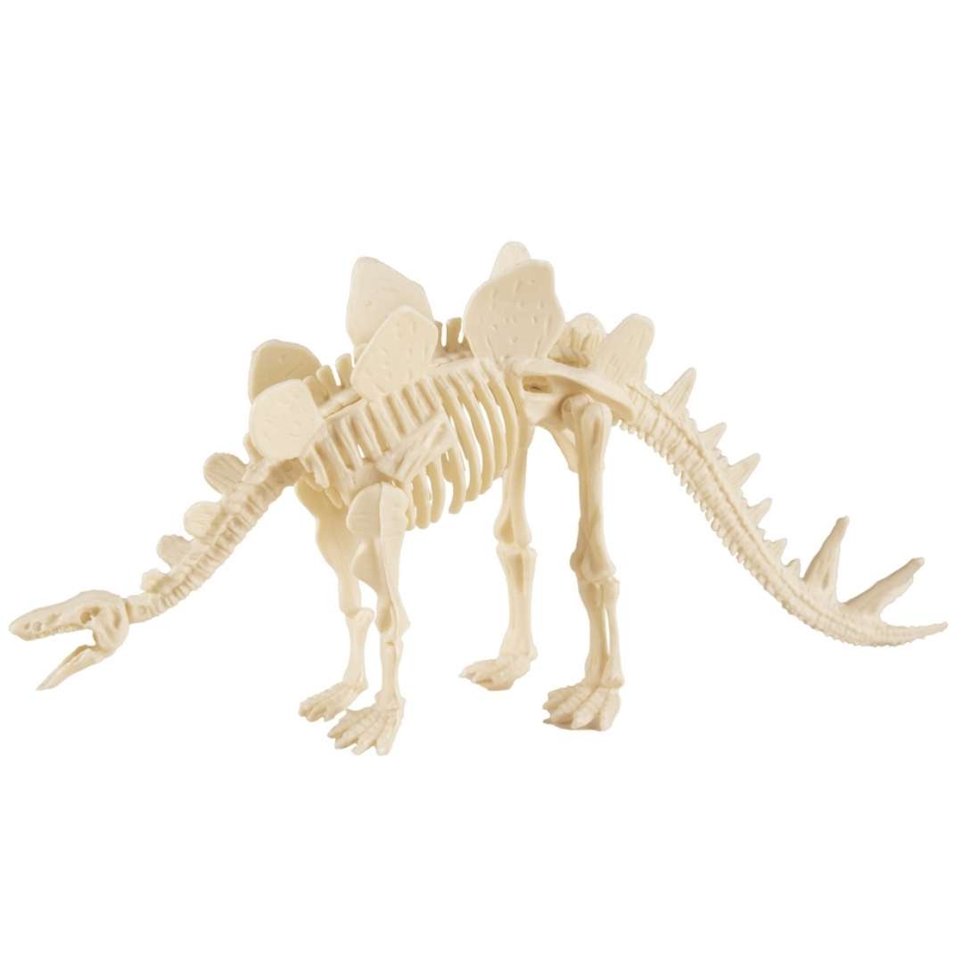_xx_Dinosaur skeleton - stegozaur