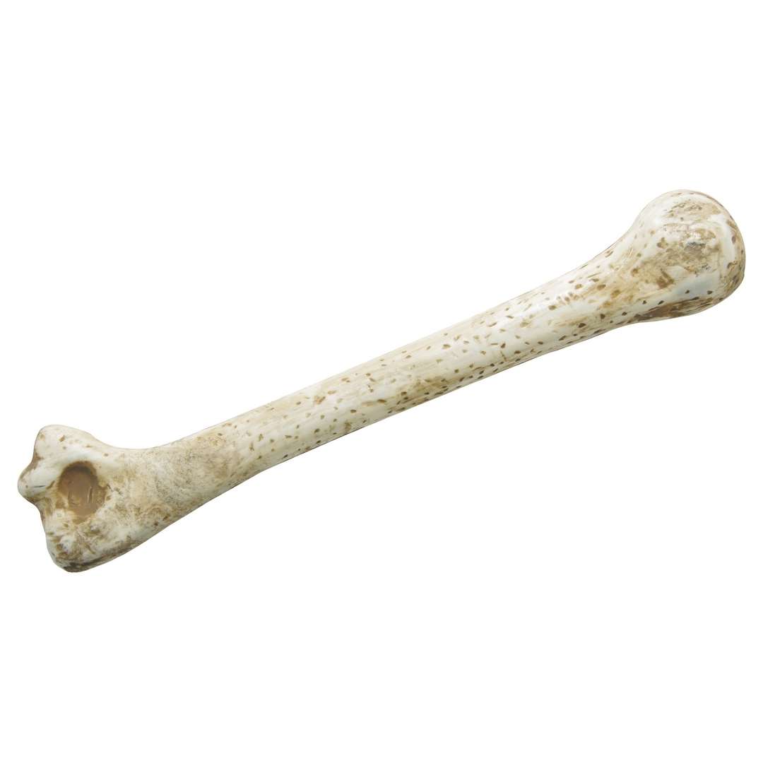 _xx_Cave bones - 28 cm